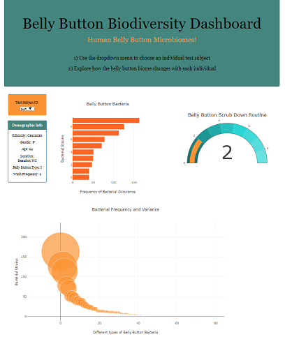 Interactive Plotly dashboard preview
